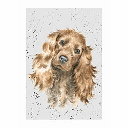 Golden Cocker Spaniel Card (Fudge)