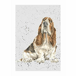 Basset Hound Card (Bella)