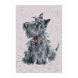 Scottie Card (Tammy)