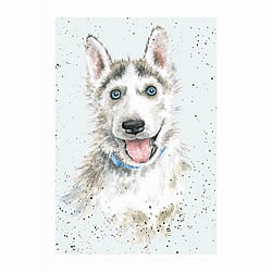 Husky Card (Blue)