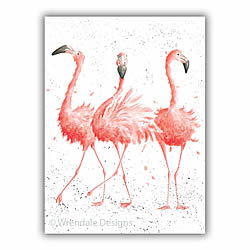 Pink Ladies Card (Flamingos)