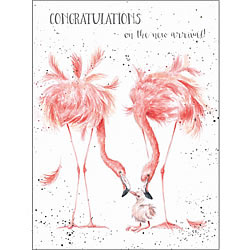 New Arrival Card (Flamingos)