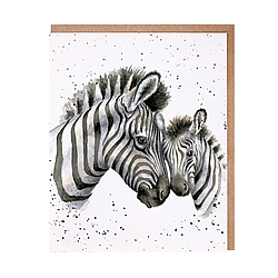 Racing Stripes Card (Zebra)