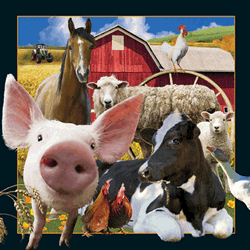 Farmlife Card