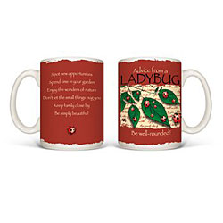 Advice From A Ladybug Mug