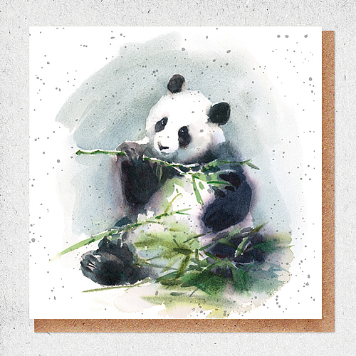 Panda Eating Bamboo Card - Click Image to Close
