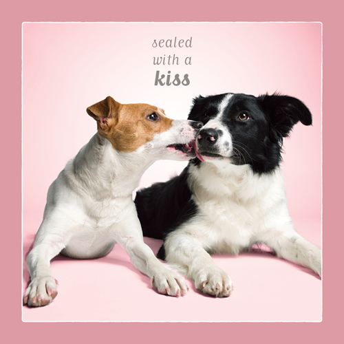 Sealed With A Kiss Card (Jack Russell & Border Collie) - Click Image to Close