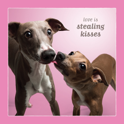 Stealing Kisses Card (Greyhounds) - Click Image to Close
