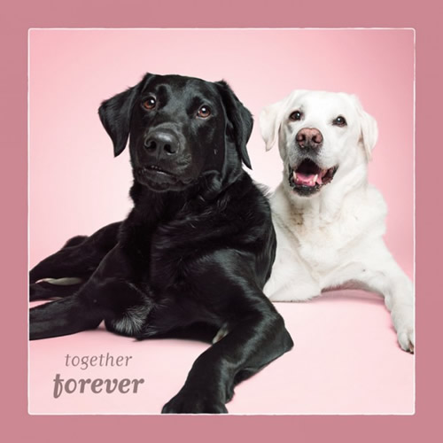 Together Forever Card (Labrador Retriever) - Click Image to Close