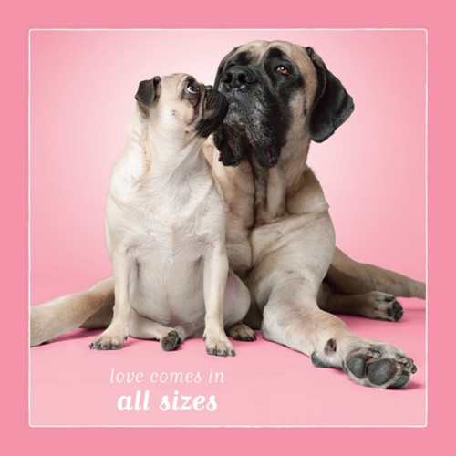 Love Comes In All Sizes Card (Pug & Bull Mastiff) - Click Image to Close