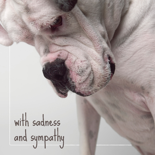 With Sadness And Sympathy Card (Boxer) - Click Image to Close