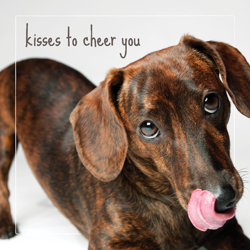 Kisses To Cheer You Card (Doxie) - Click Image to Close