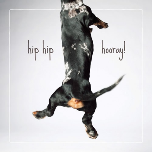 Hip Hip Hooray Card (Dachshund) - Click Image to Close