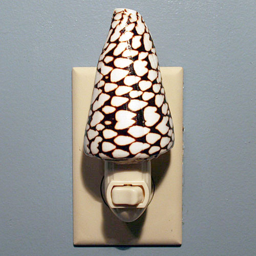 Alphabet Cone Shell Night Light - Click Image to Close