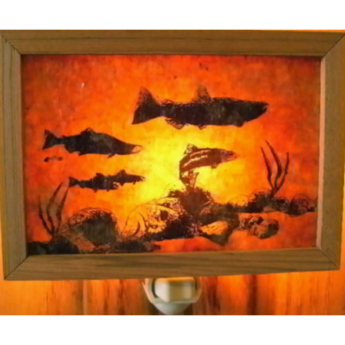 Salmon Night Light - Click Image to Close