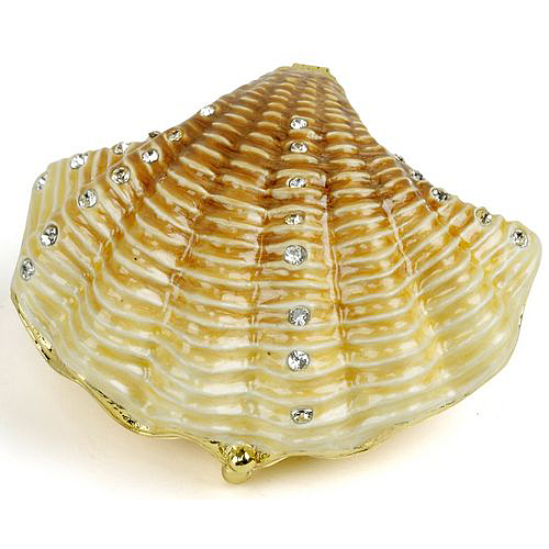 Seashell Hinged Box - Click Image to Close