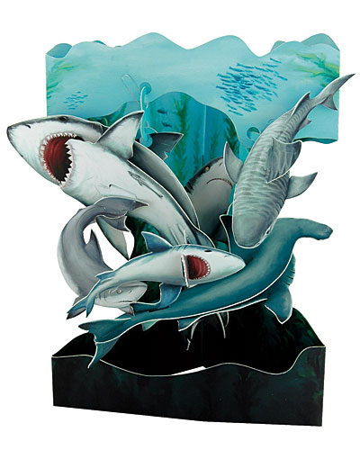 Sharks Card - Click Image to Close
