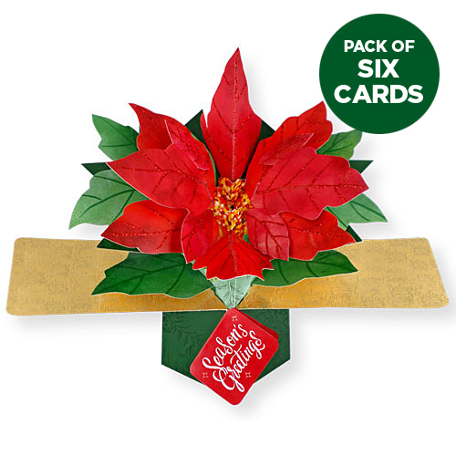 Poinsettia (6-PACK) - Click Image to Close