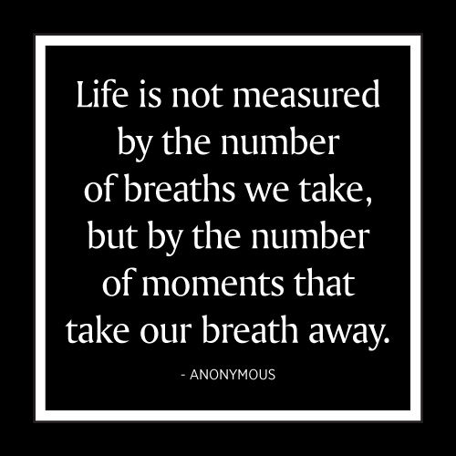 Life Is Not Measured Card - Click Image to Close