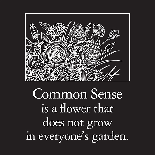 Common Sense Card - Click Image to Close