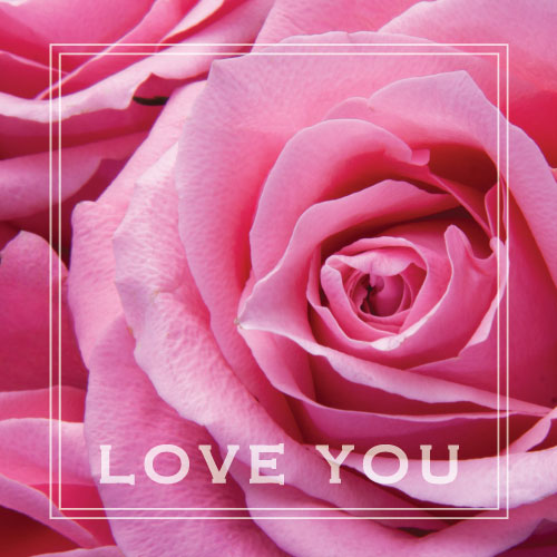 Love You (Pink Rose) Greeting Card - Click Image to Close