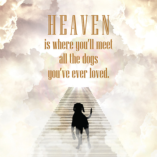 Dog Heaven Card - Click Image to Close