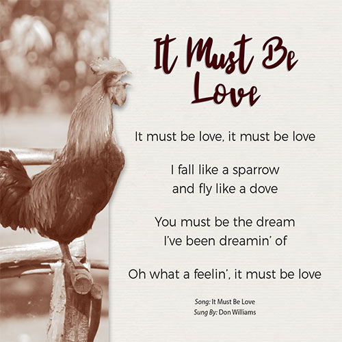 It Must Be Love Card - Click Image to Close