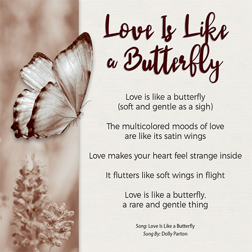 Love Is Like A Butterfly Card - Click Image to Close