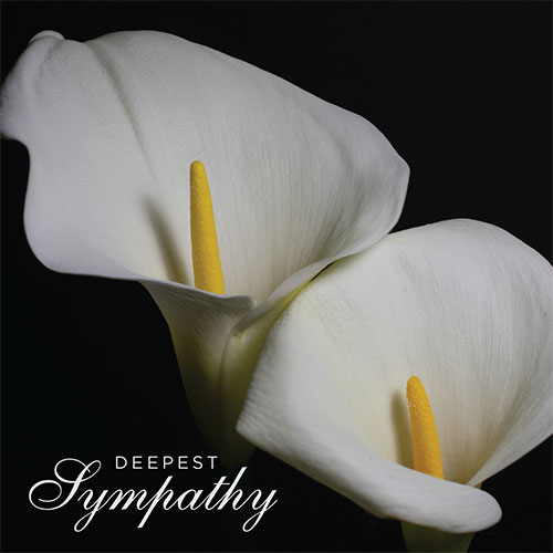 Deepest Sympathy Card (Calla Lilies) - Click Image to Close