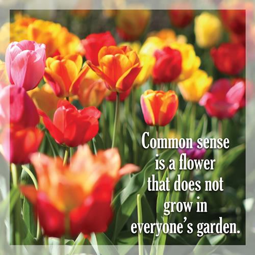 Common Sense Is A Flower Card - Click Image to Close