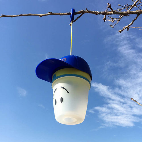 SMiLE Cap Lantern (Blue) - Click Image to Close