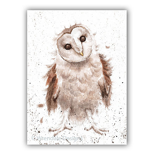 Curiouser & Curiouser Card (Owl) - Click Image to Close