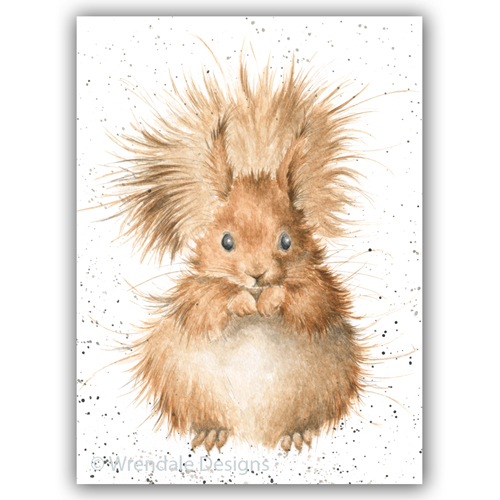 Redhead Card (Squirrel) - Click Image to Close