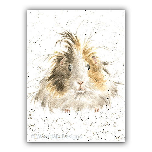 Style Queen Card (Guinea Pig) - Click Image to Close