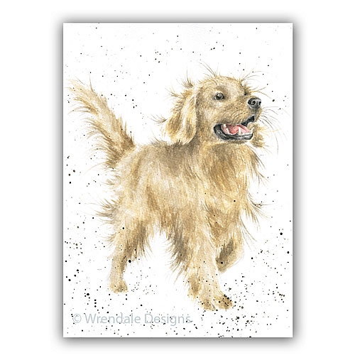 Golden Boy Card (Dog) - Click Image to Close