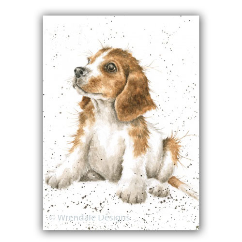 Mischief Card (Puppy) - Click Image to Close