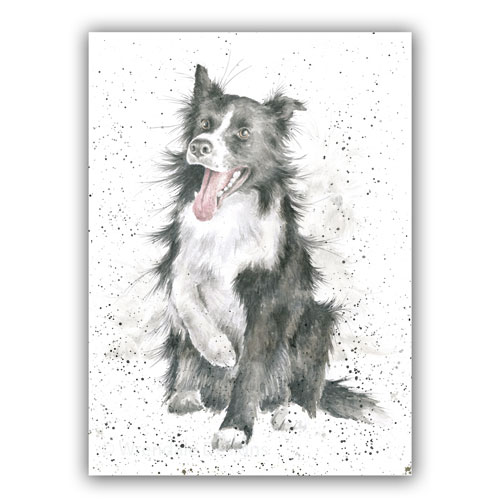 Shadow Card (Border Collie) - Click Image to Close