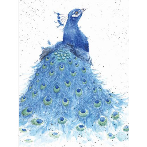 Tail Envy Card (Peacock) - Click Image to Close