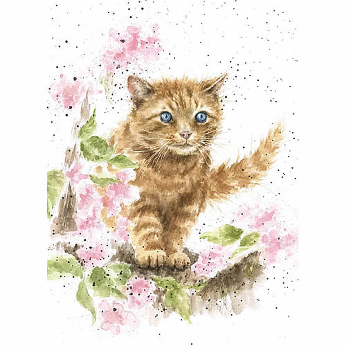 The Marmalade Cat Card (Cat) - Click Image to Close