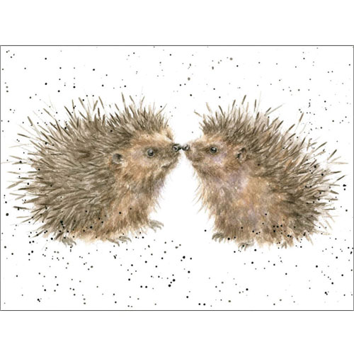 Hogs And Kisses Card (Hedgehogs) - Click Image to Close