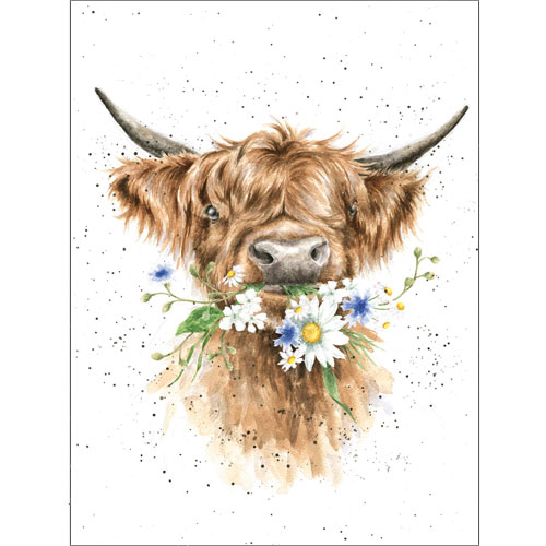 Daisy Cow Card (Cow) - Click Image to Close