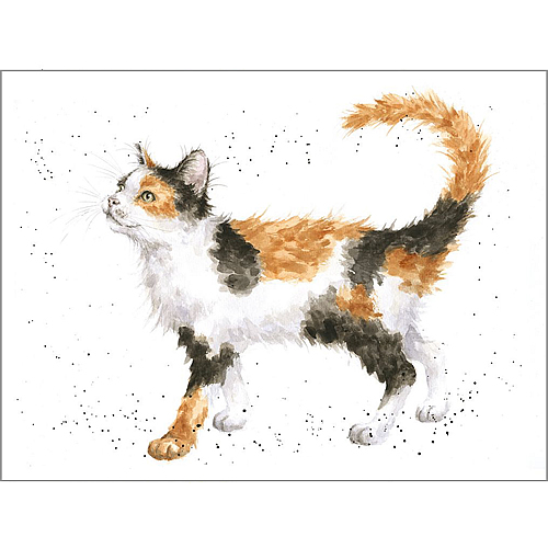 Calico Cat Card - Click Image to Close