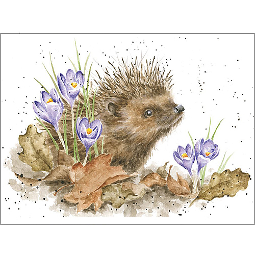 New Beginnings Card (Hedgehog) - Click Image to Close