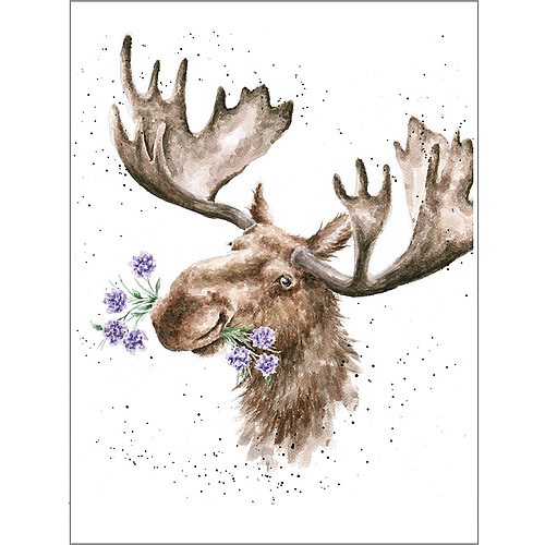 Mountain Ranger Card (Moose) - Click Image to Close