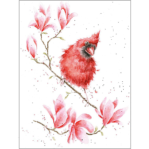 Magnolia Card (Cardinal) - Click Image to Close