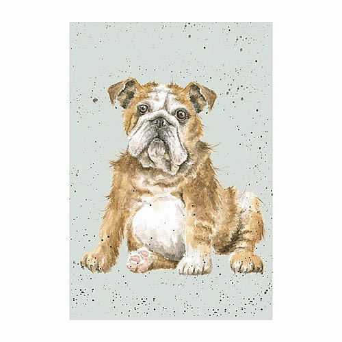 Bulldog Card (Winston) - Click Image to Close