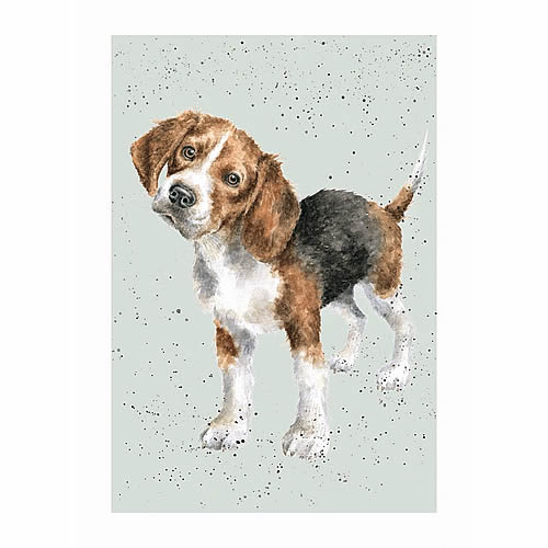 Beagle Card (Lady) - Click Image to Close