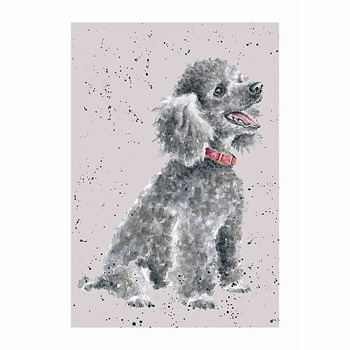 Poodle Card (Alice) - Click Image to Close