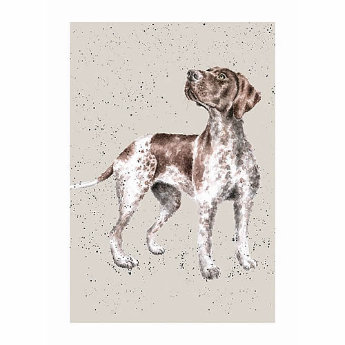 German Shorthaired Pointer Card (Fara) - Click Image to Close