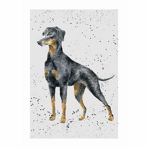 Doberman Card (Rodney) - Click Image to Close